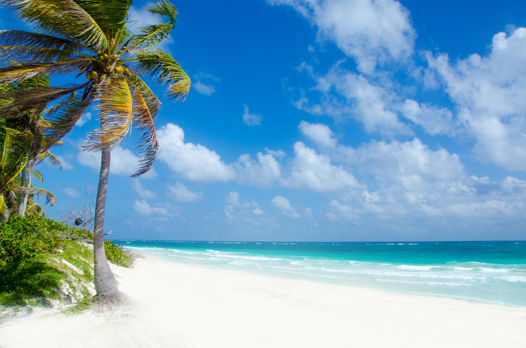 Пляж з білим піском та пальмами