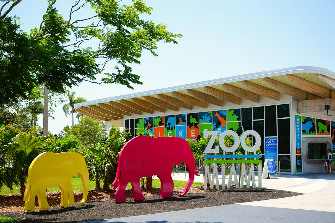 Кольорові скульптури слонів перед входом до зоопарку