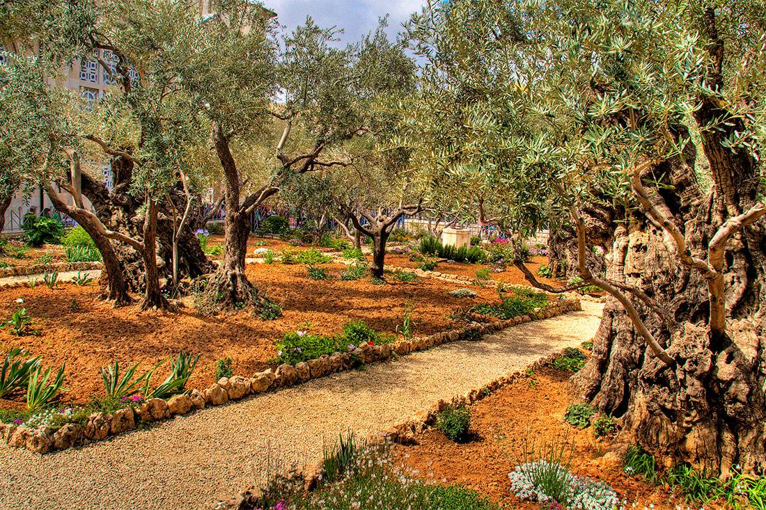 Гефсиманський сад