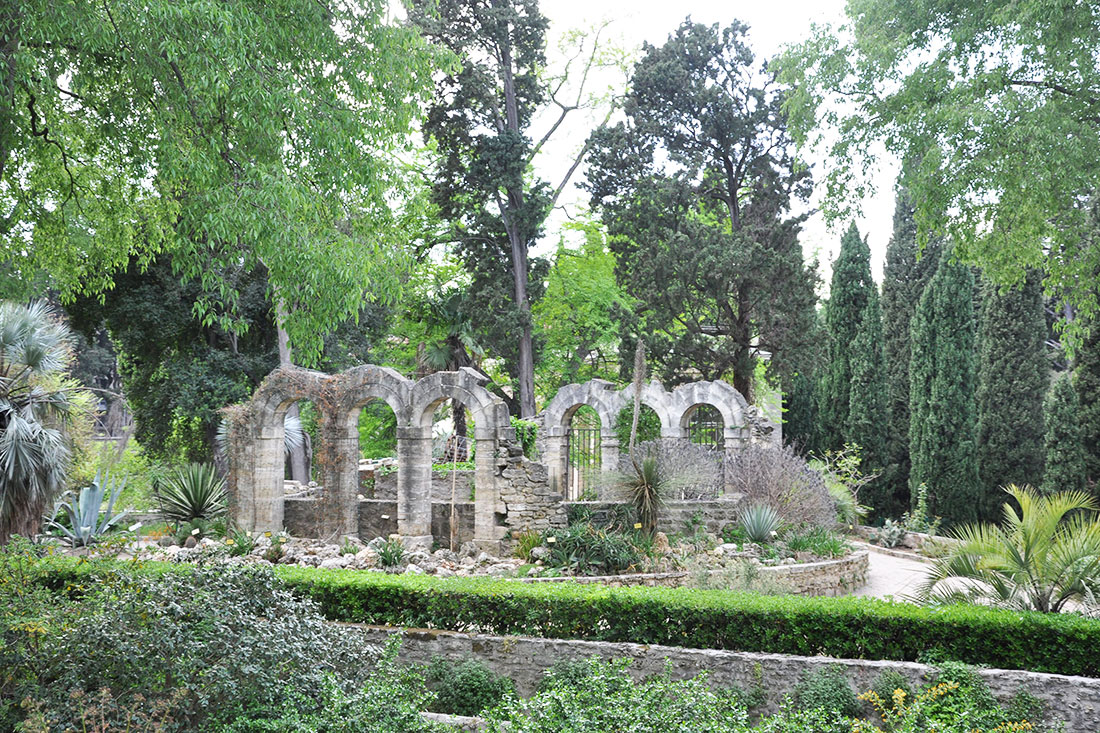 Ботанічний сад Jardin des Plantes
