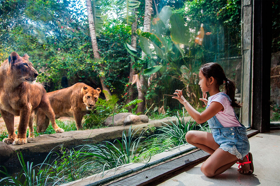 Балійський зоопарк