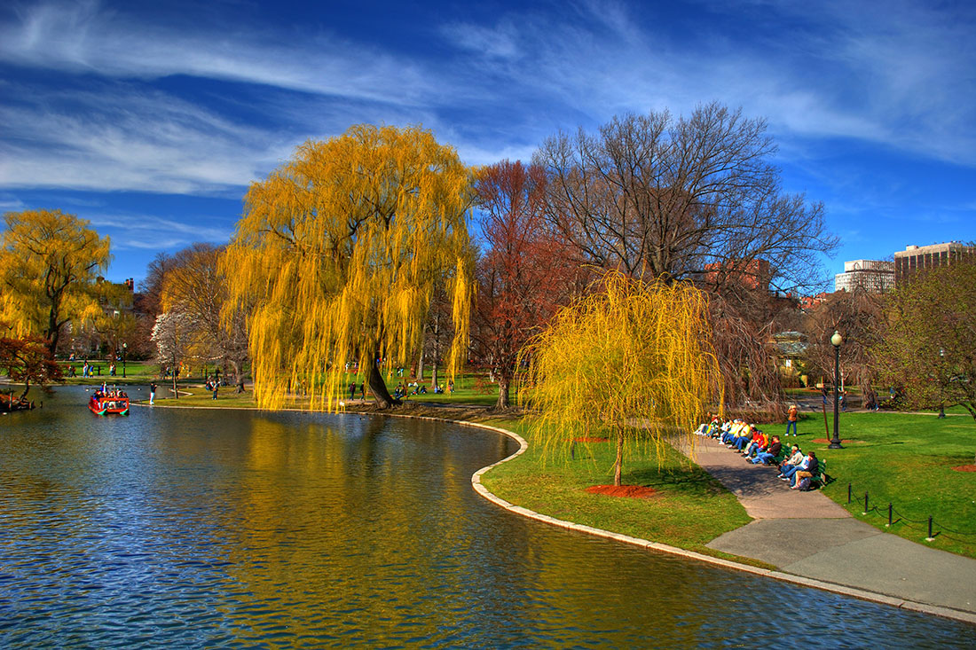 Центральний парк Boston Common 