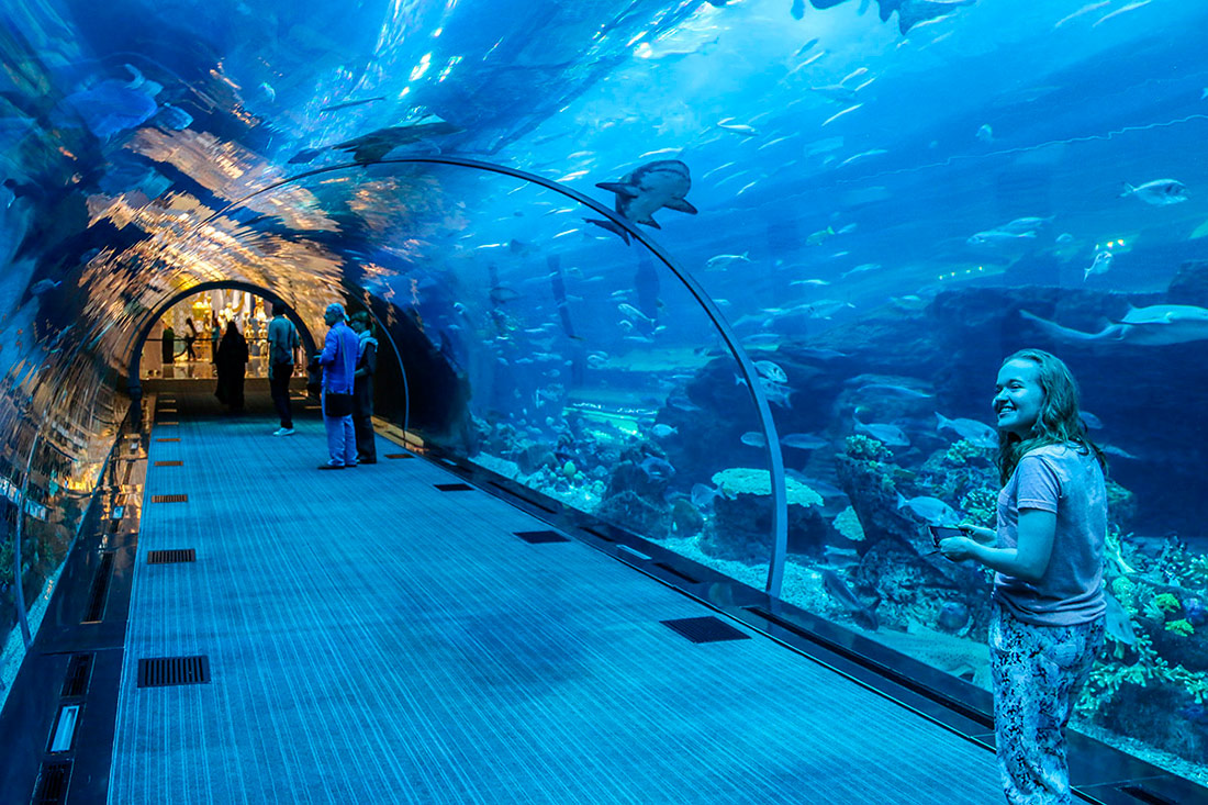 Дубайський акваріум та підводний зоопарк