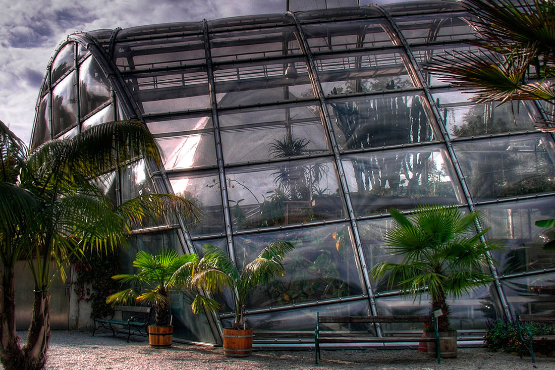 Ботанічний сад Карл-Франценс-Університет