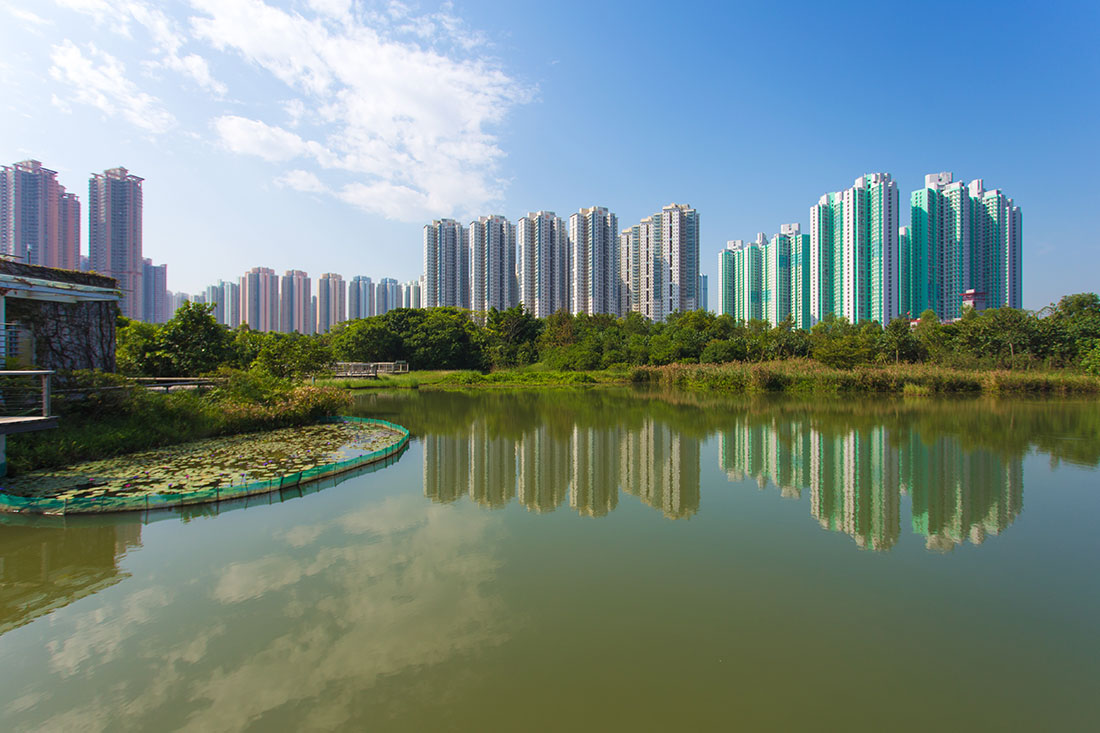 Парк водно-болотних угідь Гонконгу