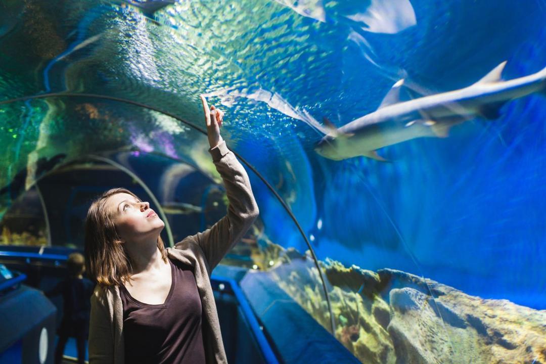 Дівчина розглядає підводний світ в акваріумі Хургаді