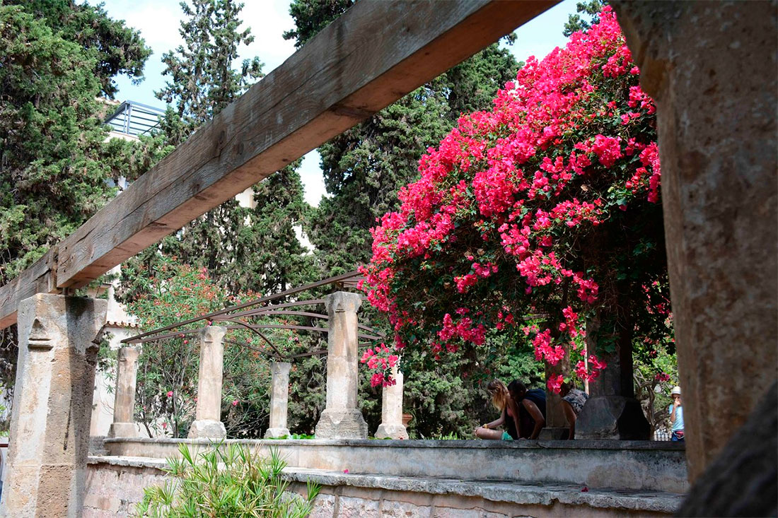 Ботанічний сад Харді дель Бісбе