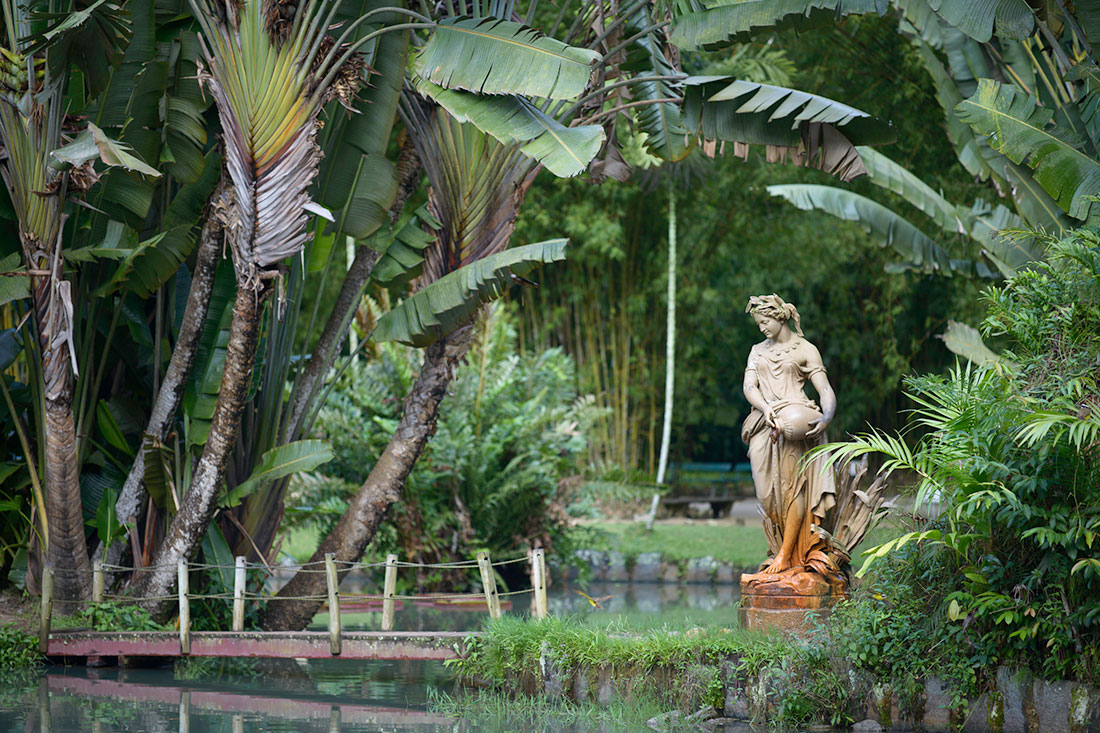Ботанічний сад "Jardim Botanico"