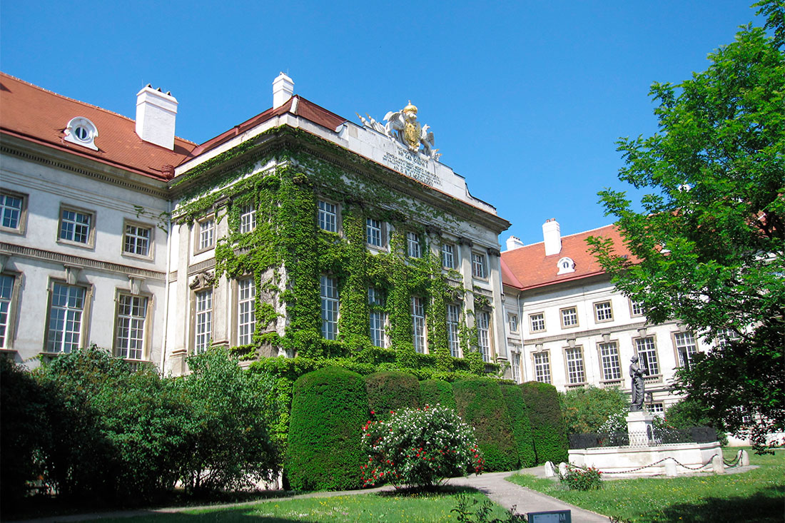 Віденська медико-хірургічна академія 