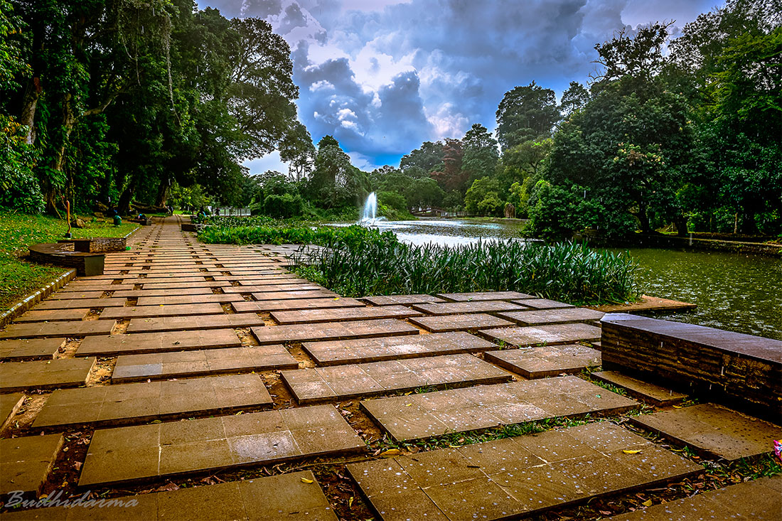 Богорський ботанічний сад (Ботанічний сад Кебун Раю)