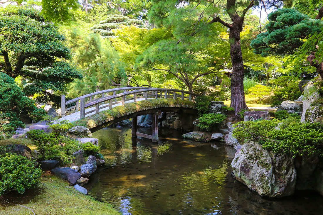 Ботанічний сад Кіото