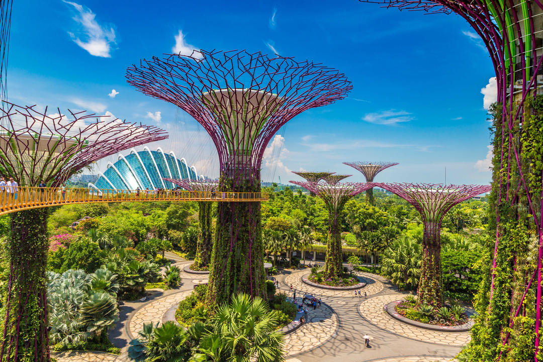 Доріжка в Supertree Grove at Gardens by the Bay