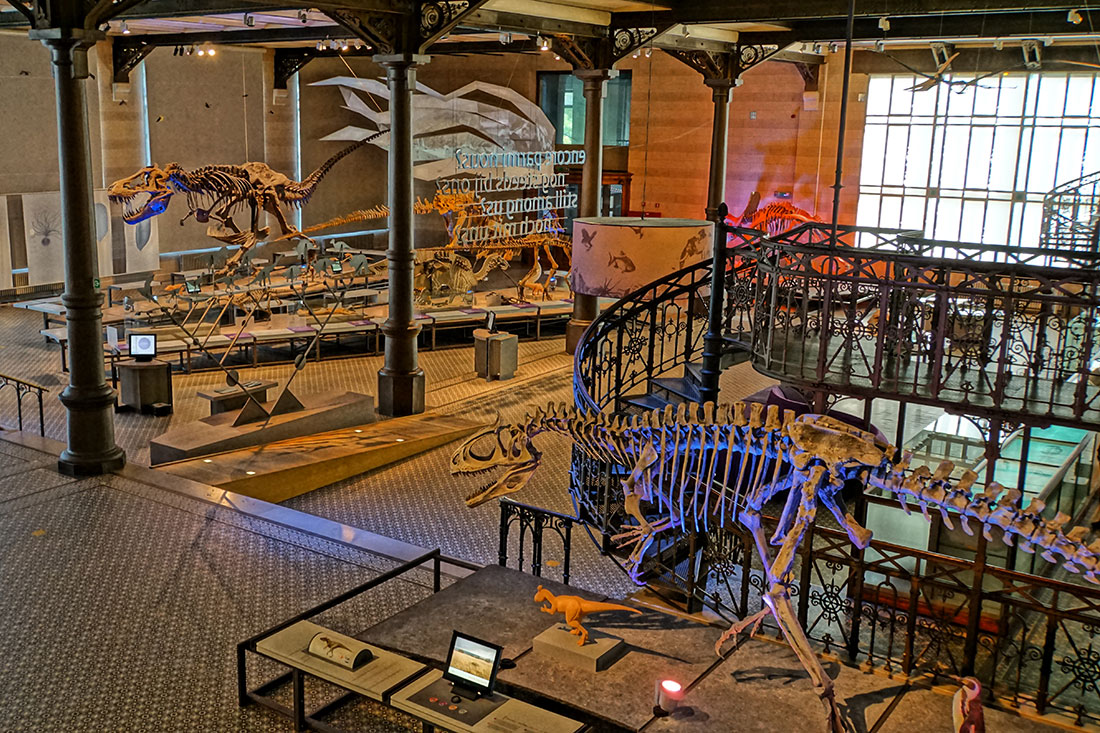 Музей природничих наук