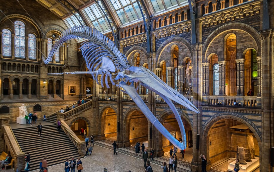 natural-history-museum