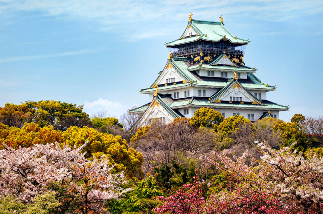 Цвітіння сакурі біля замку в Осаці, Японія.
