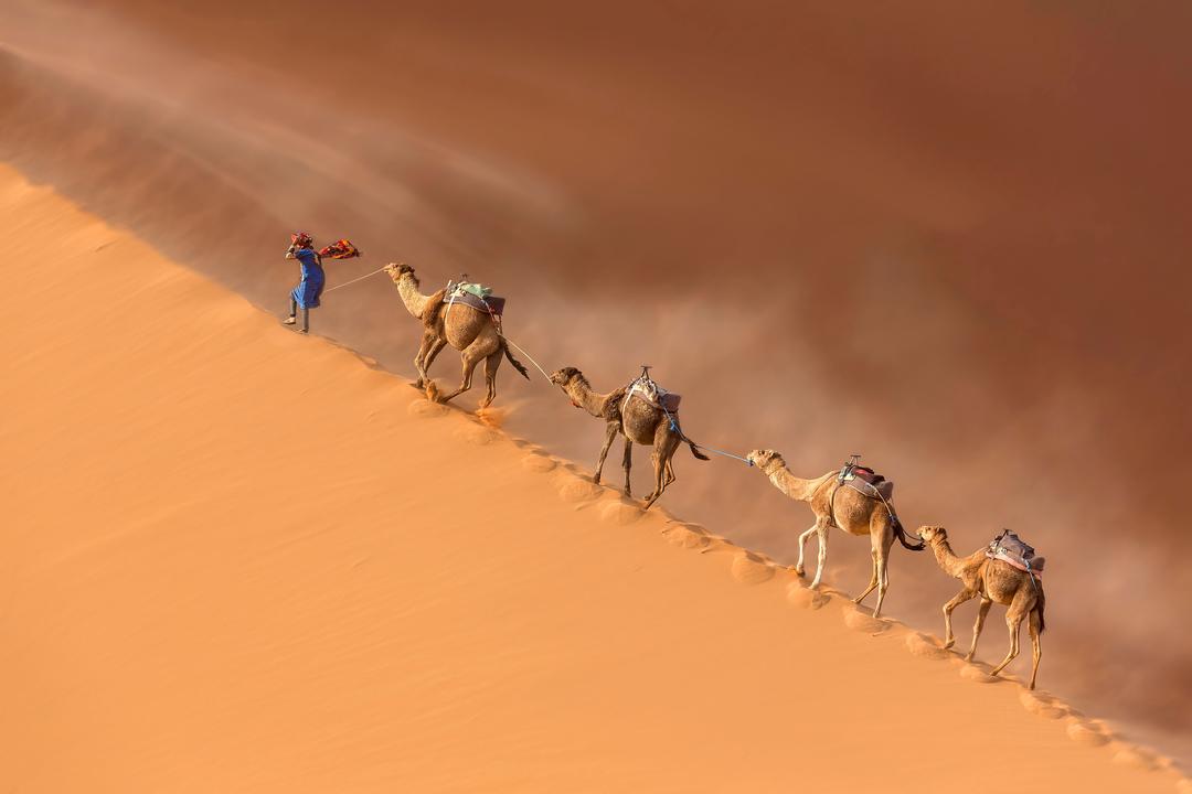Як утворилася пустеля Сахара?