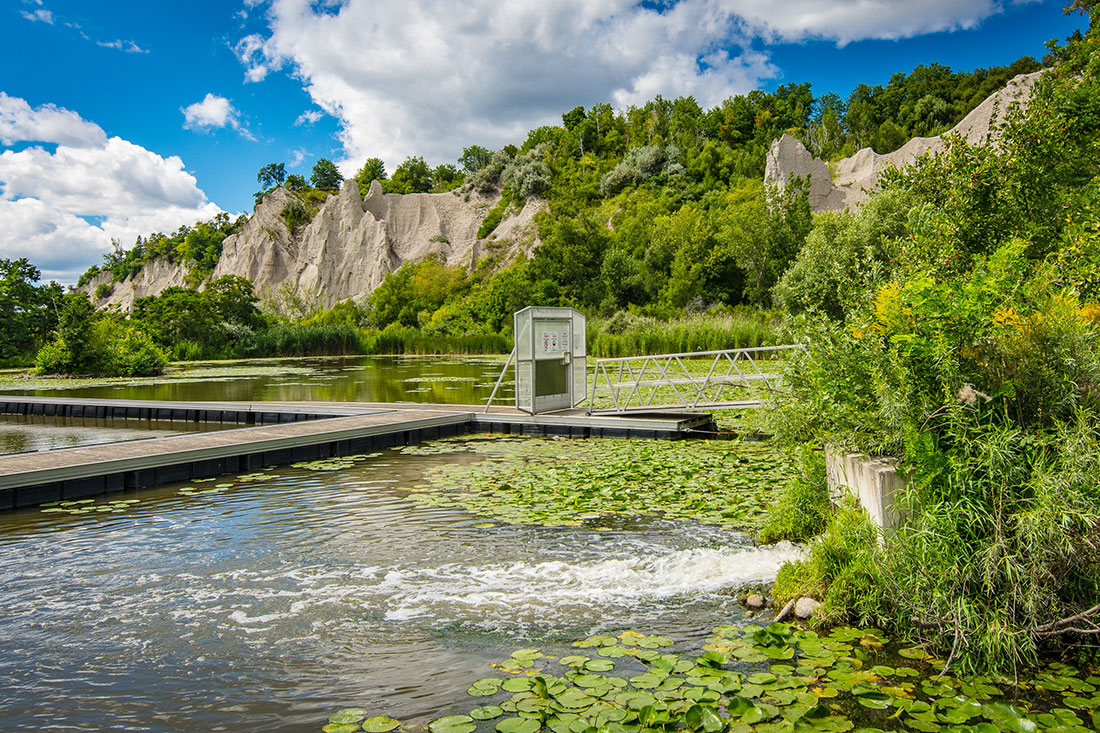 Скарборо Блаффс