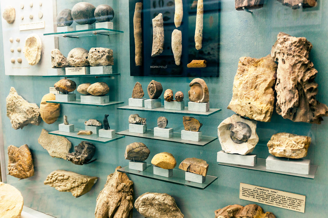Скам'янілі стародавні копалини тварини