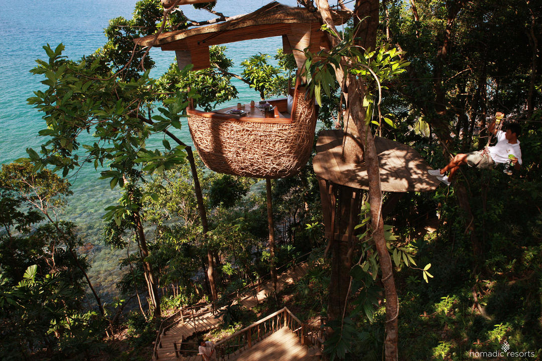 Будиночок у вигляді гнізда на дереві у джунглях