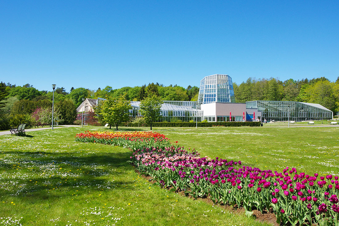 Талліннський ботанічний сад 