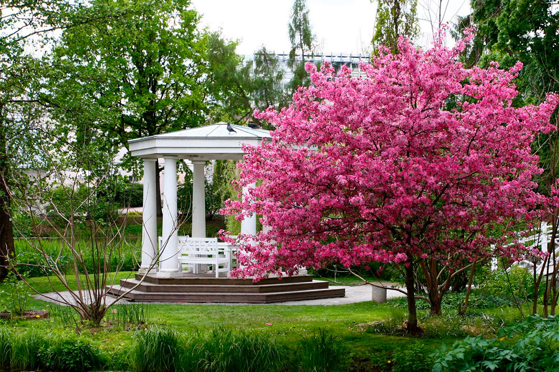Ботанічний сад Тартуського університету