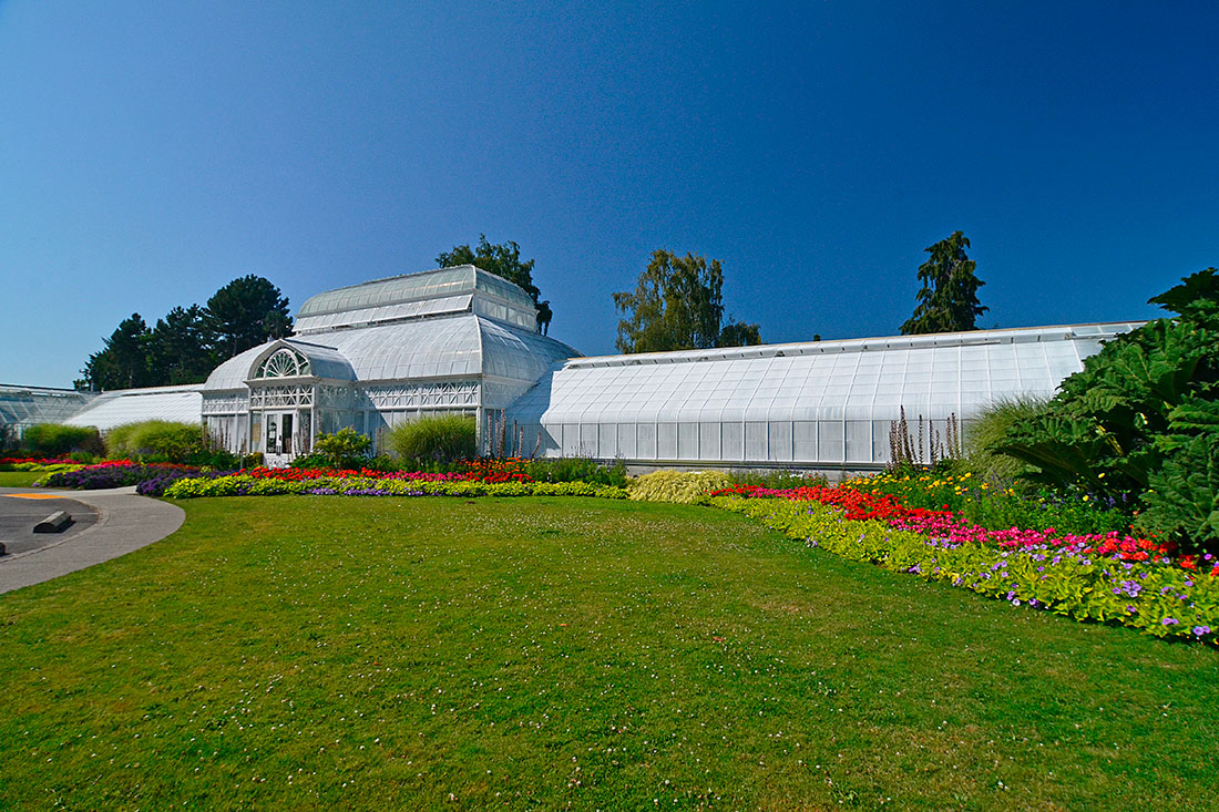 Ботанічний сад Волантир Консерватор