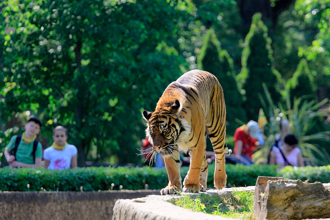 Варшавський зоопарк