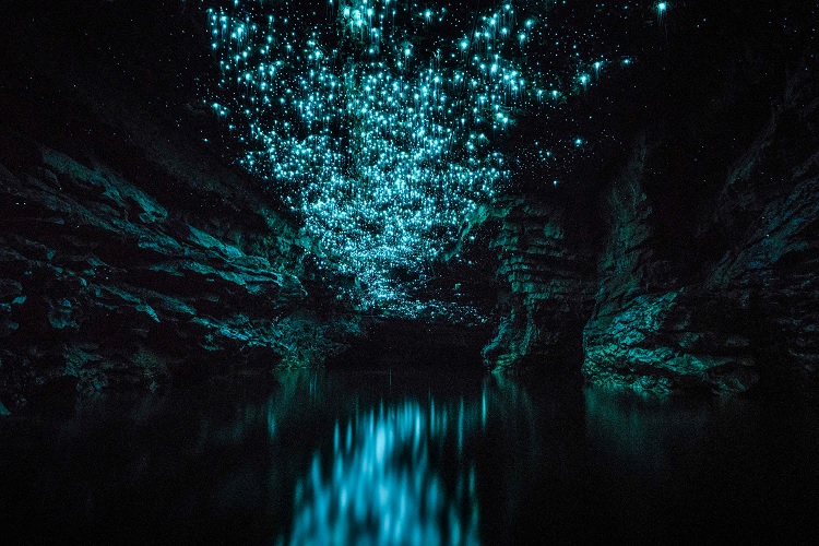 Печери Світляків