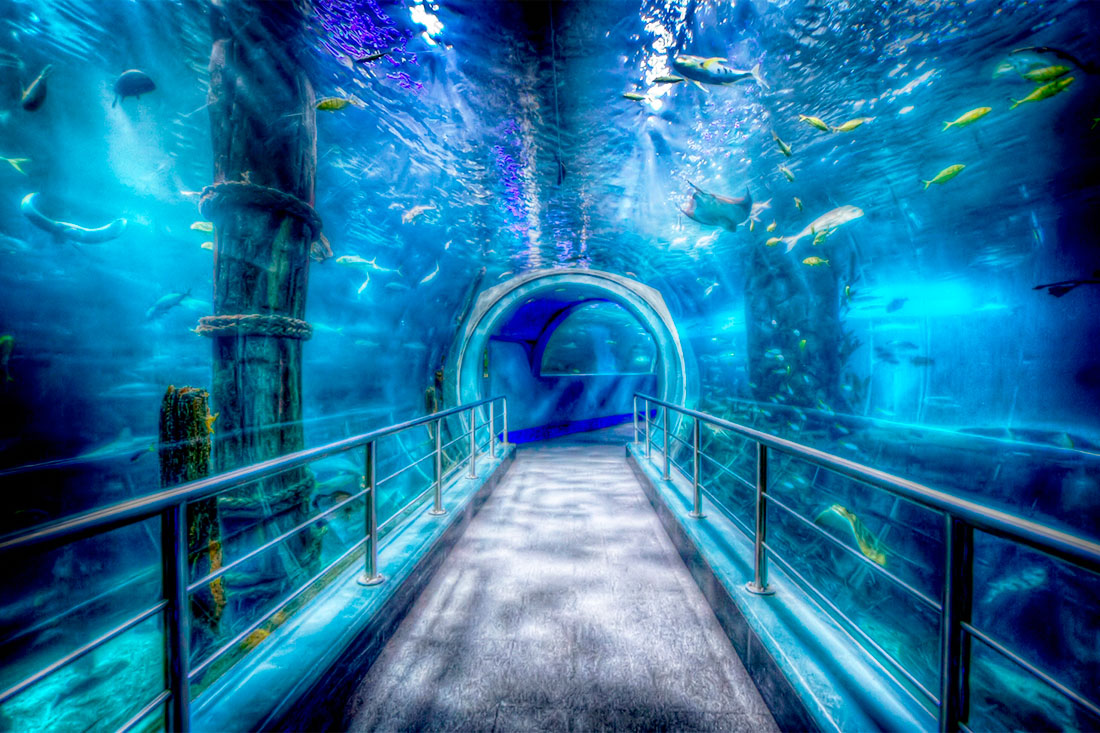 Мельбурнський акваріум