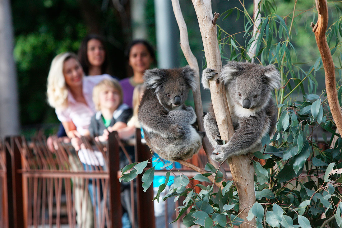 Мельбурнський зоопарк